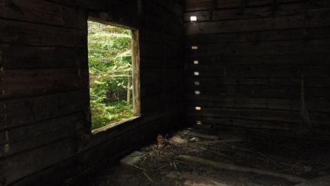 Pardee Bear Scratch Post - Pardee-Bear-Scratch-Post14.jpg