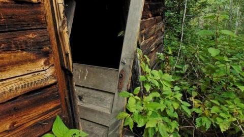 Pardee Bear Scratch Post - Pardee-Bear-Scratch-Post7.jpg