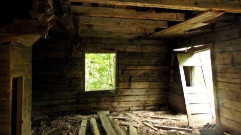 Pardee Bear Scratch Post - Pardee-Bear-Scratch-Post15.jpg