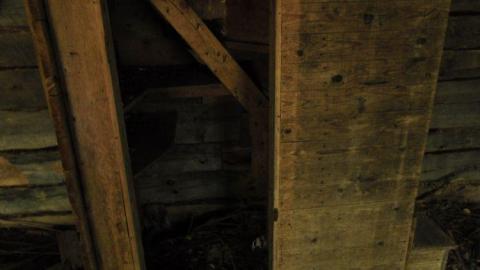 Pardee Bear Scratch Post - Pardee-Bear-Scratch-Post8.jpg