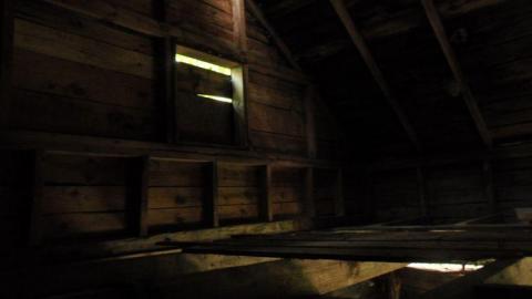 Pardee Bear Scratch Post - Pardee-Bear-Scratch-Post1.jpg