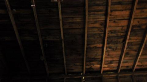 Pardee Bear Scratch Post photo 2