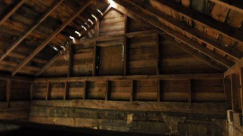 Pardee Bear Scratch Post - Pardee-Bear-Scratch-Post2.jpg