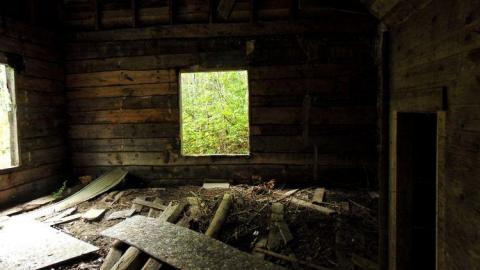 Pardee Bear Scratch Post - Neebing, Ontario
