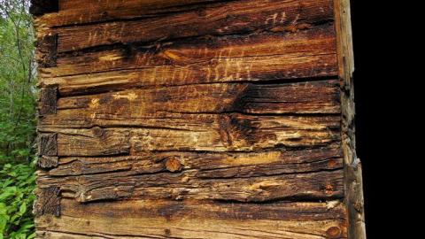 Pardee Bear Scratch Post - Pardee-Bear-Scratch-Post4.jpg