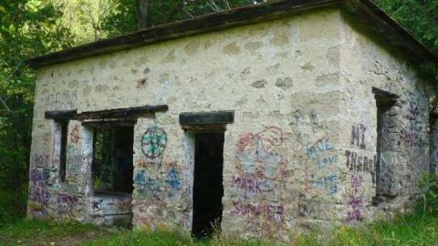 Photo from Family Jewels