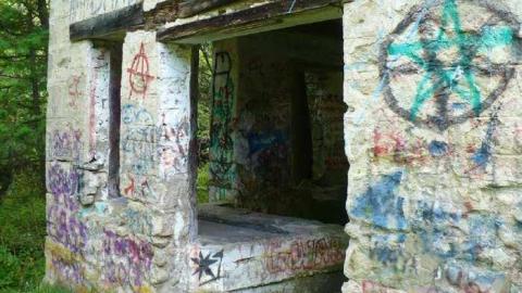 Family Jewels - Eugenia-Falls--Ghost-Town114.jpg