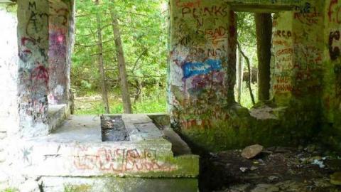 Family Jewels - Eugenia-Falls--Ghost-Town123.jpg