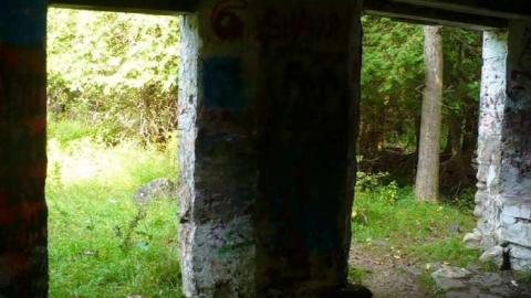 Family Jewels - Eugenia-Falls--Ghost-Town115.jpg