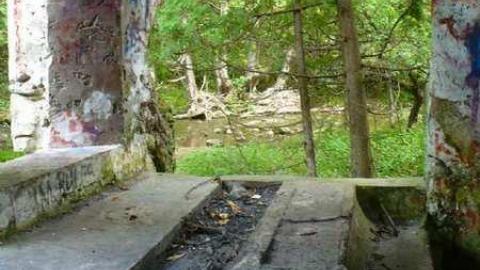 Family Jewels - Eugenia-Falls--Ghost-Town124.jpg