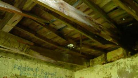 Family Jewels - Eugenia-Falls--Ghost-Town116.jpg