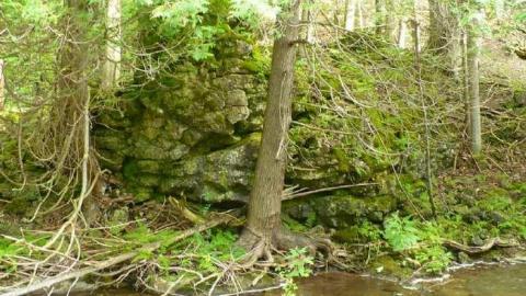 Family Jewels - Eugenia-Falls--Ghost-Town126.jpg