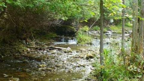 Family Jewels - Eugenia-Falls--Ghost-Town118.jpg