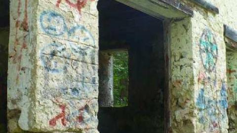 Family Jewels - Eugenia-Falls--Ghost-Town127.jpg