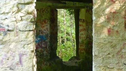 Photo from Family Jewels