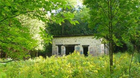 Photo from Family Jewels