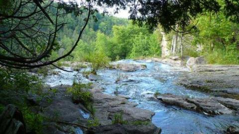 Family Jewels - Eugenia-Falls--Ghost-Town120.jpg