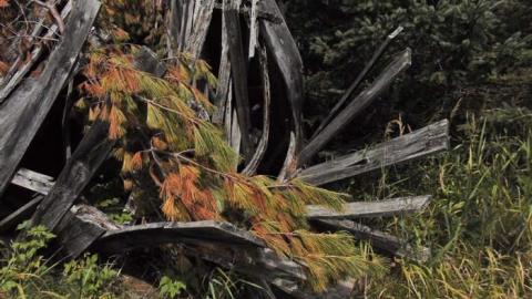 Pardee Pioneer House - Pardee-Pioneer-House2.jpg