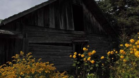 Pardee Pioneer House - Pardee-Pioneer-House6.jpg