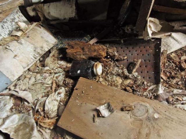 Pardee Pioneer House photo 4