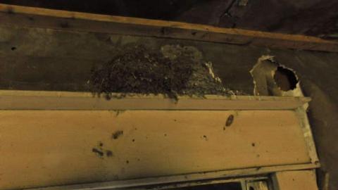 Pardee Pioneer House - Pardee-Pioneer-House19.jpg