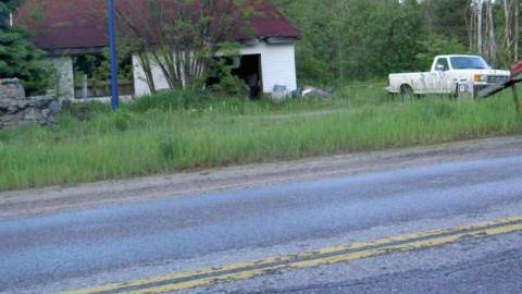 Gelert Alert - Gelert-(ghost-town)3.jpg