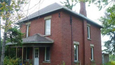 Grover Porn - Annette-Groves-For-Mayor1.jpg