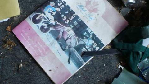 Grover Porn - Annette-Groves-For-Mayor2.jpg