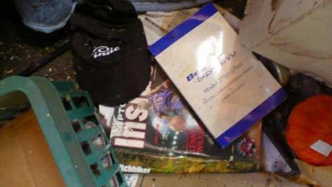 Grover Porn - Annette-Groves-For-Mayor3.jpg