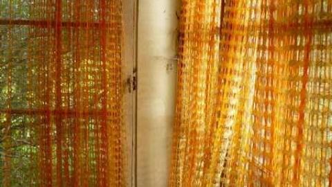 Grover Porn - Annette-Groves-For-Mayor25.jpg