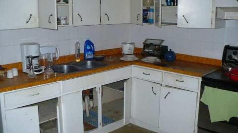 Grover Porn - Annette-Groves-For-Mayor17.jpg