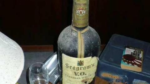 Grover Porn - Annette-Groves-For-Mayor10.jpg