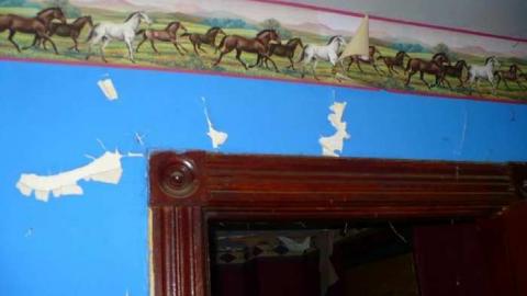 Grover Porn - Annette-Groves-For-Mayor11.jpg