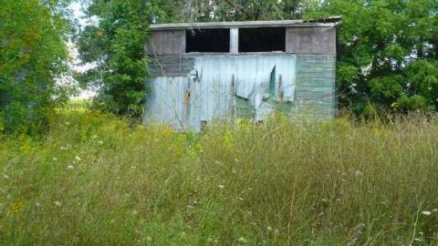 Grover Porn - Annette-Groves-For-Mayor21.jpg