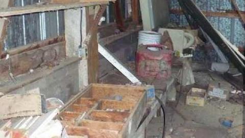 Grover Porn - Annette-Groves-For-Mayor30.jpg