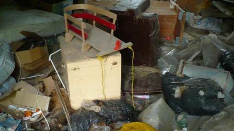 Grover Porn - Annette-Groves-For-Mayor35.jpg