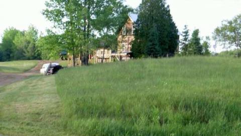 Gelert Alert - Gelert-(ghost-town)5.jpg