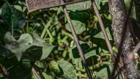 September 2014 - Simcoe-Island-Cemetery4.jpg