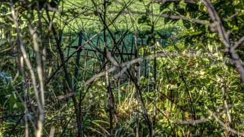 September 2014 - Simcoe-Island-Cemetery5.jpg
