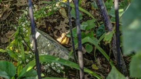 Simcoe Island Cemetery photo 3
