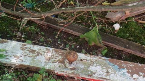 Spooky - Rockwood-Farm-House57.jpg