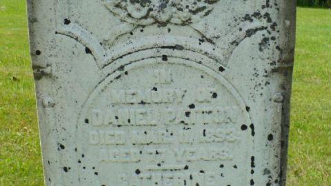 Tale of 2 Tuams - New Tecumseth, Ontario