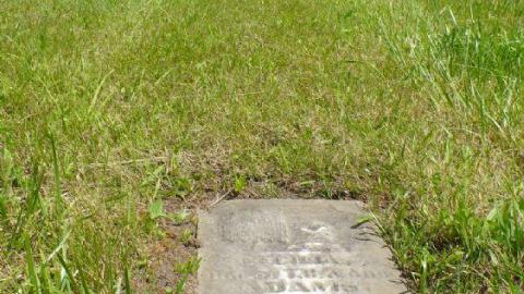 Tale of 2 Tuams photo 5