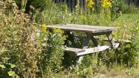 The Lonely Snowman - The-Snowmans-House7.jpg