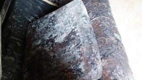 Sept '14 - The-Pines-Motel13.jpg