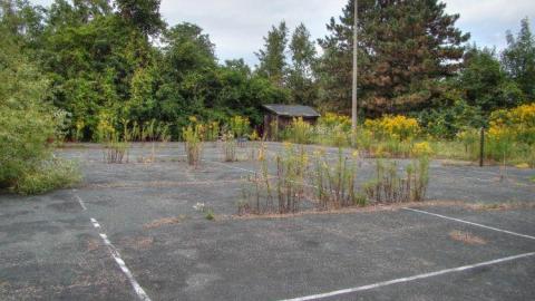 Live, Laugh, Love - Tennis-Anyone12.jpg