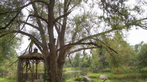 Live, Laugh, Love - Tennis-Anyone4.jpg