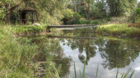 Live, Laugh, Love - Tennis-Anyone13.jpg