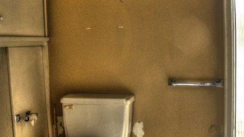 Tennis Anyone photo 4