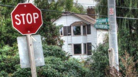 Tennis Anyone photo 5